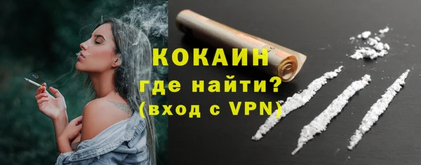 дживик Абаза
