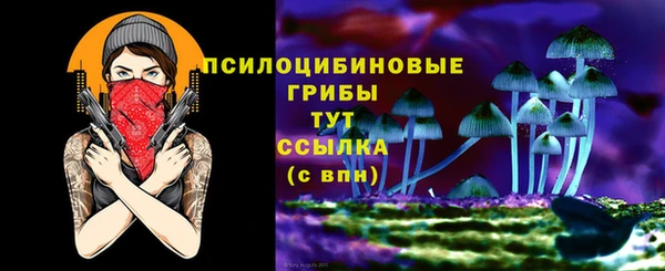 винт Сафоново