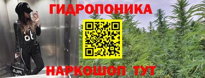 индика Дмитров
