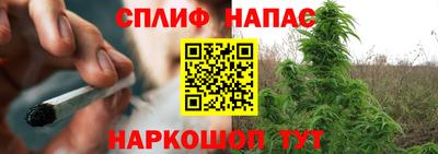 индика Дмитров