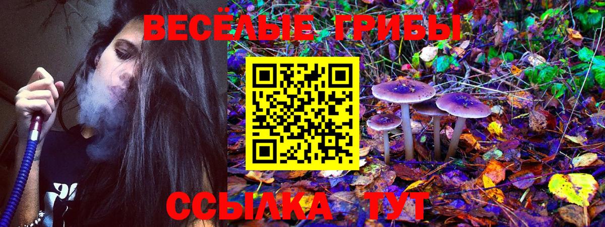 Галлюциногенные грибы прущие грибы Дальнереченск
